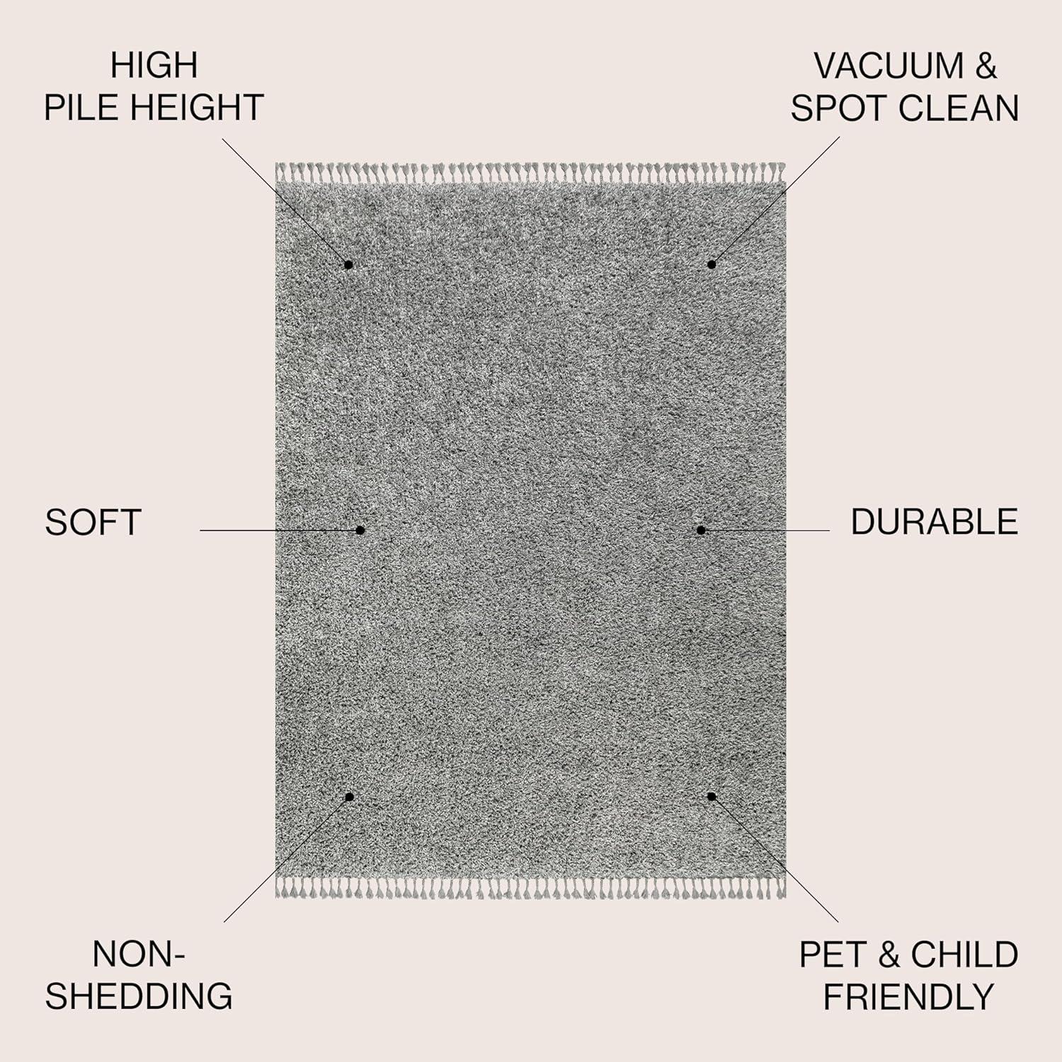 imageJONATHAN Y Mercer Shag Plush Tassel Cream Indoor Area Rug 8x10 Contemporary Modern EasyCleaning for Living Room Bedroom Kitchen Pet Friendly NonShedding MCR100D8Charcoal With Tassel