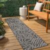 JONATHAN Y Coastal Organic Shapes Indoor Outdoor Area Rug 8X10 Black/Cream, Nolan Modern for Backyard, Patio, Porch, Easy-Cleaning, High Traffic, Pet-Friendly, Non-Shedding (TSN307B-8)(Black/Cream)