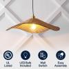 JONATHAN Y JYL1606A Miko 24.5″ Modern Coastal Organic Curve Rattan LED Pendant Minimalist, Transitional, Contemporary, Kitchen, Living Room, Bedroom, Dining Room, Natrual Brown/Brass Gold