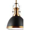 JONATHAN Y JYL9536A Homer 13″ 1-Light Modern Industrial Iron LED Dome Pendant, Classic, Cottage, Farmhouse, Industrial, Rustic, Transitional, Office, Living Room, Kitchen, Foyer, Black/Brass Gold(Black/Brass Gold)