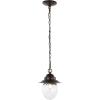JONATHAN Y JYL2401A Manteo 8.25″ 1-Light Farmhouse Industrial Iron/Glass Outdoor LED Pendant Rustic, Vintage Bedroom Living Room, Oil Rubbed Bronze/Clear