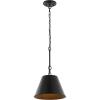JONATHAN Y JYL7586A Harper 12″ 1-Light Industrial Farmhouse Iron LED Pendant Coastal Contemporary Adjustable Dining Room Living Room Kitchen Island Foyer Bedroom Hallway, Oil Rubbed Bronze(12″)