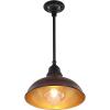 JONATHAN Y JYL7611K Jasper 12.25″ 1-Light Farmhouse Industrial Indoor/Outdoor Iron LED Pendant Modern, Rustic, Coastal, Cottage, Traditional, Patio, Porch, Living Room, Entryway, Matte Silver Blue(Wood Finish/Black)