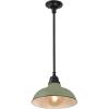 JONATHAN Y JYL7611K Jasper 12.25″ 1-Light Farmhouse Industrial Indoor/Outdoor Iron LED Pendant Modern, Rustic, Coastal, Cottage, Traditional, Patio, Porch, Living Room, Entryway, Matte Silver Blue(Matte Olive Green)