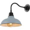 JONATHAN Y JYL7613I Aurora 12.25″ 1-Light Farmhouse Industrial Indoor/Outdoor Iron LED Gooseneck Arm Outdoor Sconce for Entryway Lobby Kitchen Bathroom Bedroom Living Room Hallway, Matte Olive Green(Matte Silver Blue/Black)