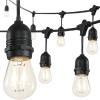 JONATHAN Y JYL8702A Indoor Outdoor Rustic Industrial LED S14 Edison Buld String Lights Garden Patio Backyard Porch Balcony, 48 ft. 15-Light, Black