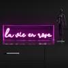 JONATHAN Y NEN1020A La Vie En Rose 20″ X 6″ Contemporary Glam Acrylic Box USB Operated LED Neon Light, Pink
