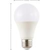 JONATHAN Y BLB-A19A-SET4 Modern Non-Dimmable LED Edison Glass Bulbs, 9W, Equivalent 60W, E26 Base, 80+ CRI, A19 Warm White 2700K, 805 Lumens for Bedroom, Living Room, Office, White, Pack of 4