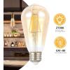 JONATHAN Y BLB-ST58A-SET4 Vintage Non-Dimmable LED Edison Glass Bulbs, 4W, Equivalent 40W, E26 Base, 80+ CRI, ST58 Warm White 2700K, 350 Lumen for Bedroom, Living Room, Office, Tinted Amber, Pack of 4