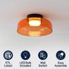 JONATHAN Y JYL7153B Kalmar 12″ Modern Minimalist Iron/Glass Dimmable Integrated LED Flush Mount Contemporary, Transitional, Industrial, Bedroom, Living Room, Dining Room, Kitchen, Green/Black(Orange)