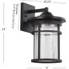 JONATHAN Y JYL7450A Porto 10.25″ Outdoor Wall Lantern Crackled Glass/Metal Integrated Sconce French Country Industrial Rustic 3000K LED Bulbs for Porch Patio Yard Garage Doorway Entryway, Black/Clear(14 in)