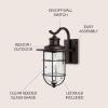 JONATHAN Y JYL7604A Westfield 10.5″ 1-Light Iron/Seeded Glass Rustic Industrial Cage LED Outdoor Lantern Classic Cottage Traditional Transitional Patio Porch Doorway, Oil Rubbed Bronze