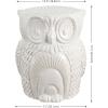JONATHAN Y TBL1035B Millie 17.5″ Classic Vintage Ceramic Indoor/Outdoor Owl Garden Stool, Bohemian, Coastal, Cottage, Traditional, Spill-Proof, Living Room, Garden Room, Patio, Blue Cracks(White)