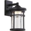JONATHAN Y JYL7450A Porto 10.25″ Outdoor Wall Lantern Crackled Glass/Metal Integrated Sconce French Country Industrial Rustic 3000K LED Bulbs for Porch Patio Yard Garage Doorway Entryway, Black/Clear(11.5 in)