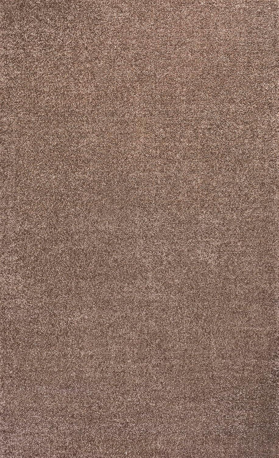 imageJONATHAN Y Haze Solid LowPile Brown Indoor Area Rug 12x15 CoastalBohemianMinimalistClassic EasyCleaning for Living RoomBedroomKitchenPet FriendlyNonShedding SEU100J15
