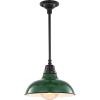 JONATHAN Y JYL7611B Jasper 12.25″ 1-Light Farmhouse Industrial Indoor/Outdoor Iron LED Round Pendant Metal Bowl Shade Vintage Cottage Rustic Porch Patio Yard Barn, Black(Green/Black)