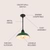 JONATHAN Y JYL7611B Jasper 12.25″ 1-Light Farmhouse Industrial Indoor/Outdoor Iron LED Round Pendant Metal Bowl Shade Vintage Cottage Rustic Porch Patio Yard Barn, Black(Green/Black)