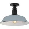 JONATHAN Y JYL7617F Camila 14″ 1-Light Classic Industrial Indoor/Outdoor Iron LED Semi Flush Mount Mid-Century, Rustic 2700K Cozy Warm Light Kitchen Hallway Bathroom Stairwell, Green/White(Matte Silver Blue/Black)