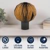 JONATHAN Y JYL9103B Quincy 11″ Modern Minimalist Paper Pleated Orb Accent LED Table Lamp for Living Room, Family Room, Dining Room, Bedroom, Hallway, Office, Natural(Black)