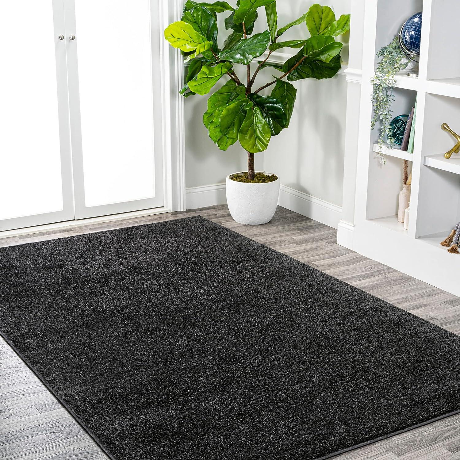 imageJONATHAN Y Haze Solid LowPile Black Indoor Area Rug 3x5 CoastalBohemianMinimalistClassic EasyCleaning for Living RoomBedroomKitchenPet FriendlyNonShedding SEU100I3