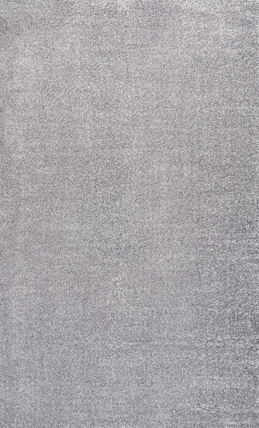 imageJONATHAN Y Haze Solid LowPile Gray Indoor Area Rug 3x5 CoastalBohemianMinimalistClassic EasyCleaning for Living RoomBedroomKitchenPet FriendlyNonShedding SEU100A3