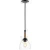 JONATHAN Y JYL1103A Alys 7.63″ Adjustable Rope-Wrap Modern Iron/Glass LED Pendant, Farmhouse, Industrial, Rustic, Transitional for Dining Room, Kitchen, Living Room, Black
