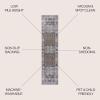 JONATHAN Y Machine Washable Navy/Cream Indoor Area Rug 5X8 ft, Alanya Ornate Medallion for Living Room, Bedroom, Kitchen, Office, Easy-Cleaning, High Traffic, Pet-Friendly, Non-Shedding (WSH100A-5)(Alanya-brown/Light Gray)