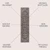 JONATHAN Y Machine Washable Indoor Area Rug 3X5 Green/Navy/Cream, Cirali Ornate Large Medallion for Living Room, Bedroom, Kitchen, Office, Easy-Cleaning, Pet-Friendly, Non-Shedding WSH105C-3(Cirali-green/Navy/Cream)