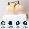 JONATHAN Y JYL7550A Farmhouse 2-Light Bathroom Vanity Light, 14″ Chrome Wall Sconce with Frosted Glass Bell Shade, Dimmable Wall Mount Fixture for Powder Room, Mirror, Kitchen, LED Bulbs Included(Brass Gold/White)