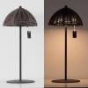 JONATHAN Y 12.75″ Dark Brown Modern Coastal Rechargeable LED Table Lamp Set of 2 for Patio Porch, Dimmable Cordless Bedside Lamp, Light Brown Faux Wicker Shade (JYL7169B-SET2)(Dark Brown)