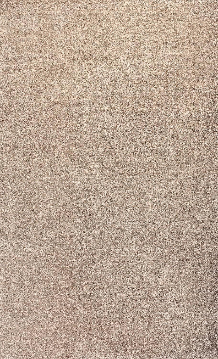 image:imageJONATHAN Y Haze Solid LowPile Beige Indoor Area Rug 4x6 CoastalBohemianMinimalistClassic EasyCleaning for Living RoomBedroomKitchenPet FriendlyNonShedding SEU100G4
