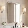 JONATHAN Y Alfie 24 in. W x 36 in. H Large Irregular Metal Framed Wall Mounted Mirror, Nickel (MIR216C)