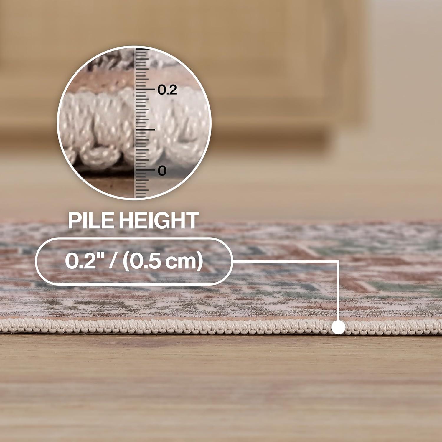 image:imageJONATHAN Y UltraSoft MachineWashable Rug with NonSkid Backing Dark GrayMulti 5x8 Eleanor Vintage Medallion Border NonShedding Velvet Luxury Feel for Living Room Dining Room BedroomGreenBrown