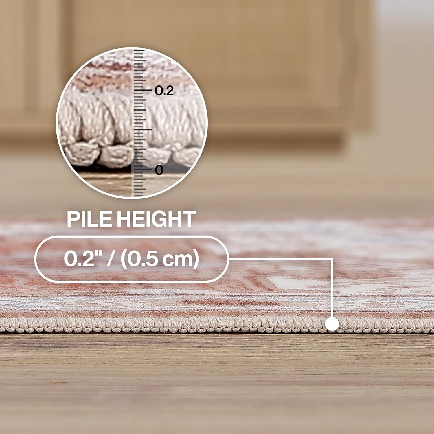 image:imageJONATHAN Y UltraSoft MachineWashable Rug with NonSkid Backing Dark GrayMulti 5x8 Eleanor Vintage Medallion Border NonShedding Velvet Luxury Feel for Living Room Dining Room BedroomCreamTerra