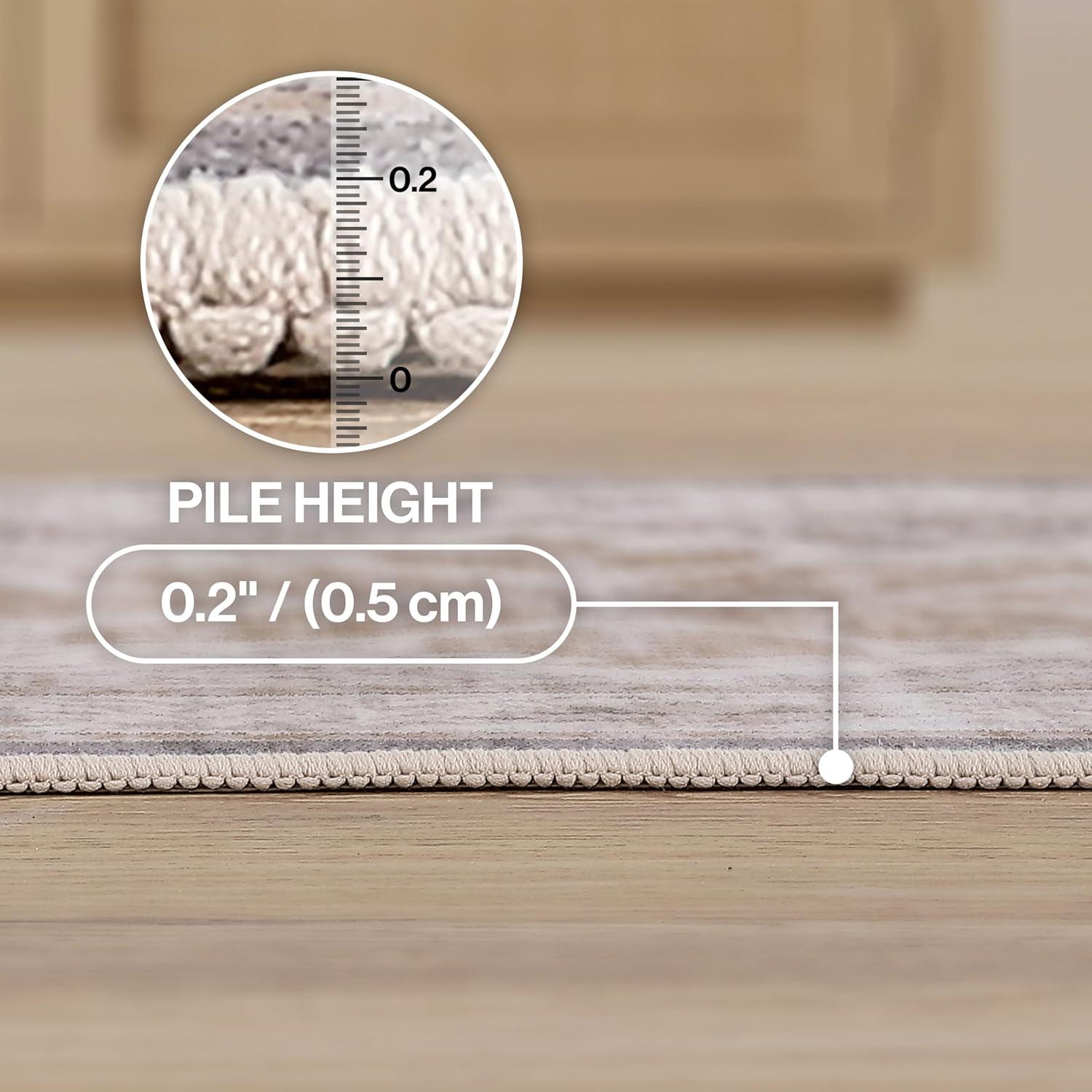 image:imageJONATHAN Y UltraSoft MachineWashable Rug with NonSkid Backing Dark GrayMulti 5x8 Eleanor Vintage Medallion Border NonShedding Velvet Luxury Feel for Living Room Dining Room BedroomCreamBeige