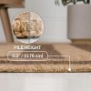 JONATHAN Y Easy Jute Rustic Indoor Outdoor Area Rug Natural/Beige 5X8, Frenzy Border for Backyard, Patio, Easy-Cleaning, High Traffic, Pet-Friendly, Hose Washable, Non-Shedding FXV204A-5(Natural/Brown)