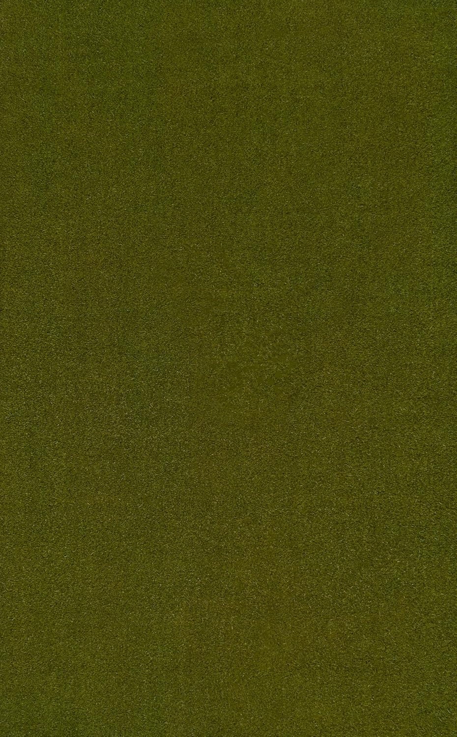 image:imageJONATHAN Y Peater Classic Casual Commercial Natural Coir Taupe 2 ft x 8 ft Doormat for Entrance Front Door Entryway CHG100C28Green