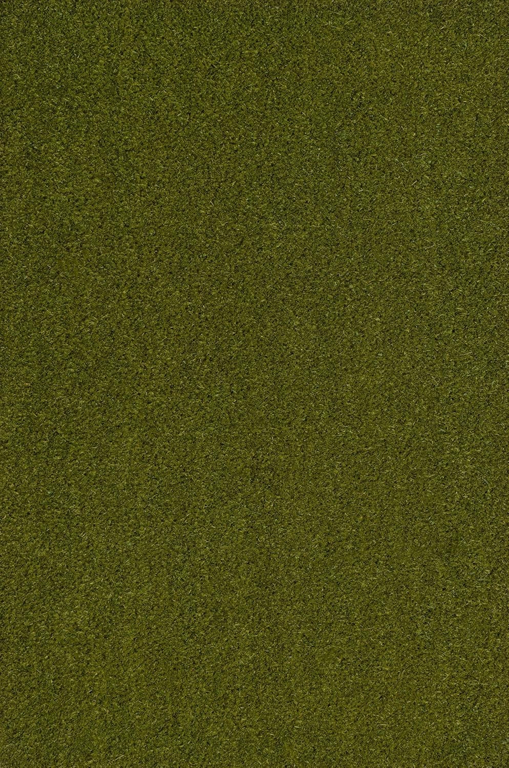 image:imageJONATHAN Y Peater Classic Casual Commercial Natural Coir Taupe 2 ft x 8 ft Doormat for Entrance Front Door Entryway CHG100C28Green