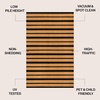 JONATHAN Y Peater Classic Casual Commercial Natural Coir Taupe 2 ft. x 8 ft. Doormat for Entrance, Front Door, Entryway CHG100C-28(Natural/Black)