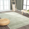 JONATHAN Y Haze Solid Low-Pile Green Indoor Area Rug 10×14, Coastal,Bohemian,Minimalist,Classic, Easy-Cleaning for Living Room,Bedroom,Kitchen,Pet Friendly,Non-Shedding (SEU100O-14)